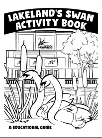 cover of Lakeland's Swan Activity Book