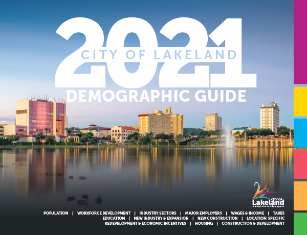 2021 Demographic Guide Cover