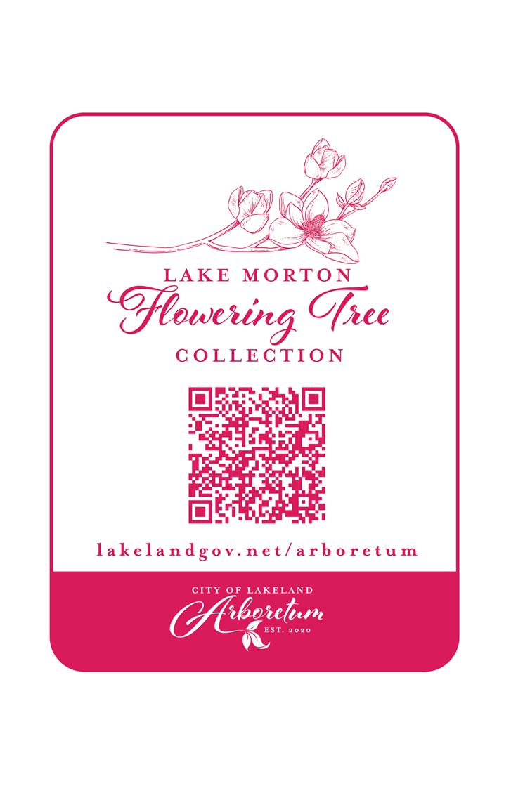 poster for Lake Morton Flowering Tree collection