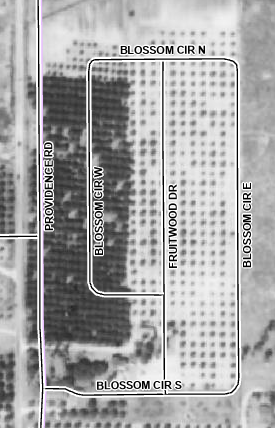 An aerial view of Orangewood in 1941 while it was still orange groves.