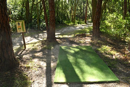Holloway Park Disc Golf Hole 6 Photo