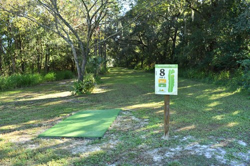 Holloway Park Disc Golf Hole 8 Graphic