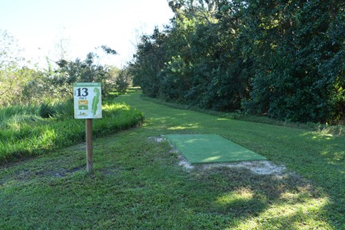 Holloway Park Disc Golf Hole 13 Graphic