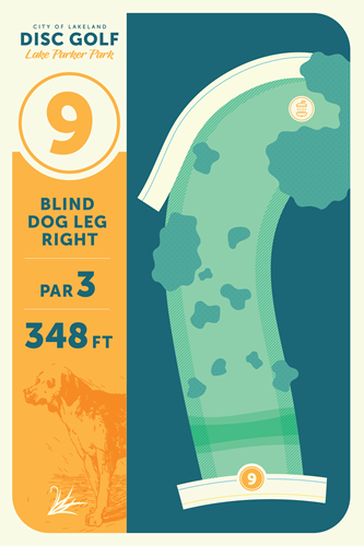 Hole 9 Disc Golf Graphic
