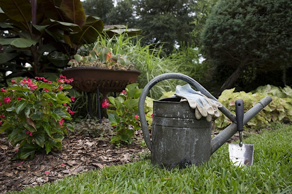 Watering can, gardening gloves, gardening spade, plants