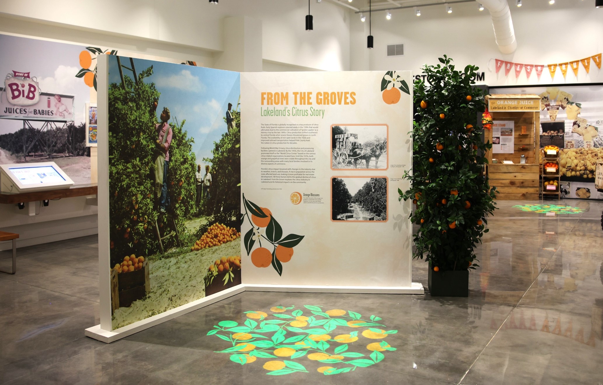 View into Lakeland History and Culture Center exhibit with From the Groves information panel in foreground and History Room door in background