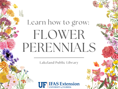 Illustrated watercolor flowers surrounding text "Learn how to grow: Flower Perennials, Lakeland Public Library" with UF IFAS Extension logo; link to Lakeland Libraries' event calendar