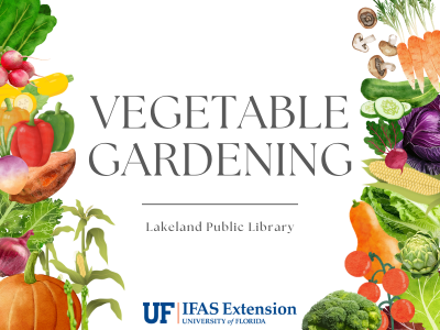 Illustrated watercolor vegetables surrounding text "Vegetable Gardening, Lakeland Public Library" with UF IFAS Extension logo; link to Lakeland Libraries' event calendar