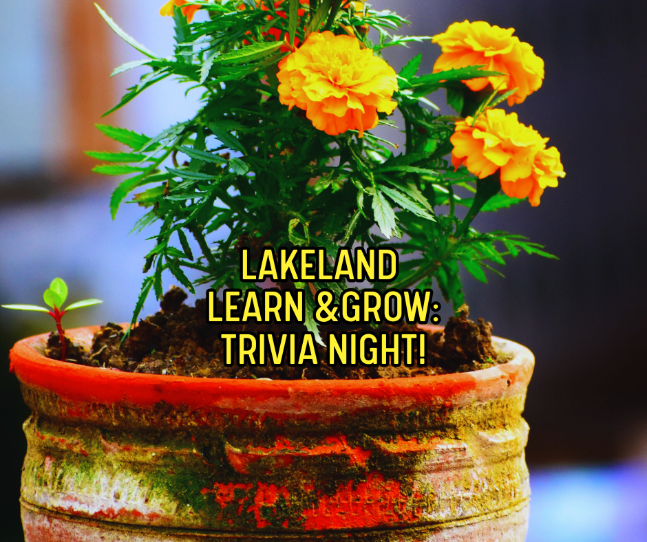 Orange flowers in a red pot. Yellow text "Lakeland Learn and Grow: Trivia Night!"