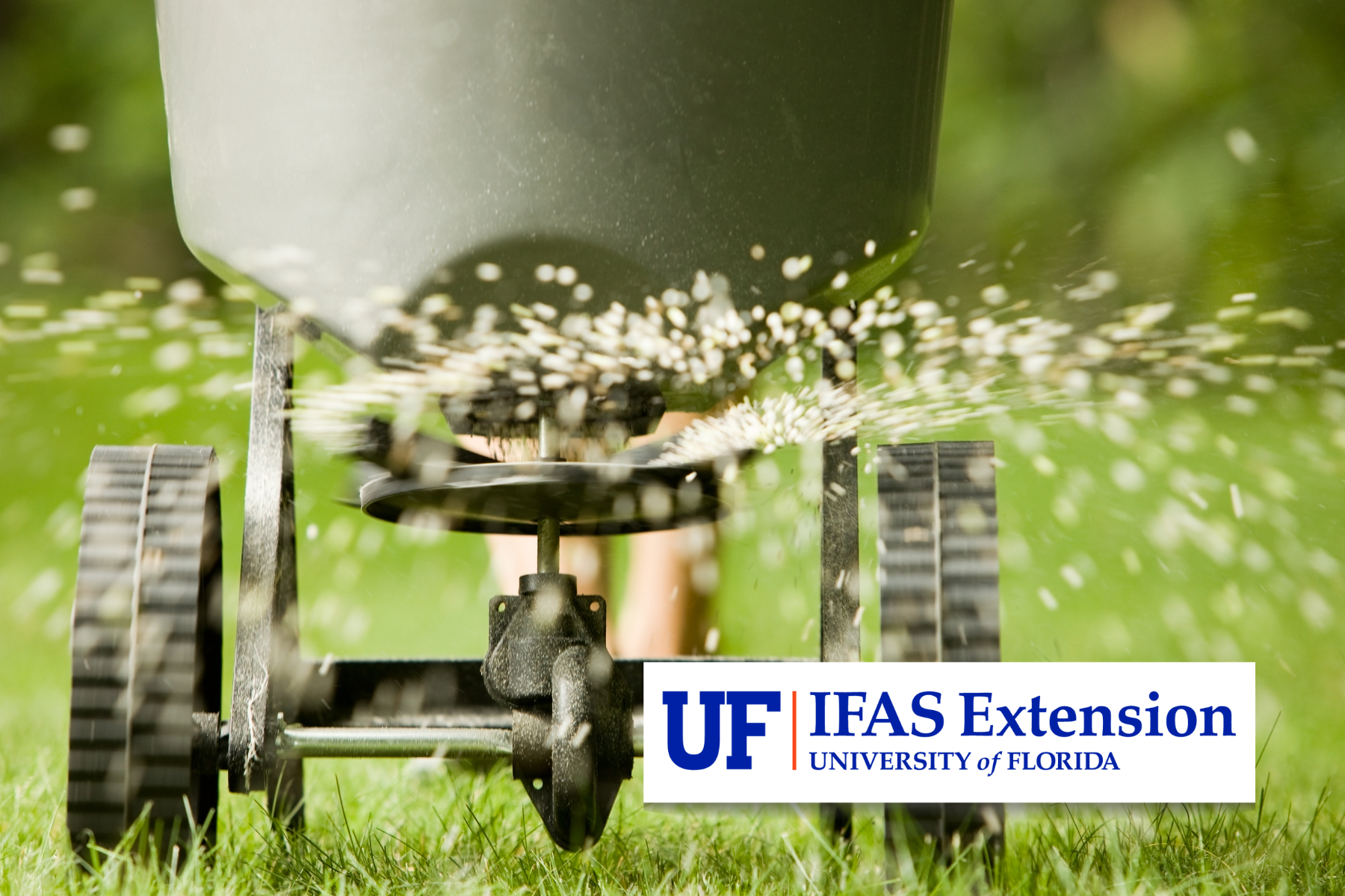 Broadcast fertilizing with UF/IFAS Extension Logo
