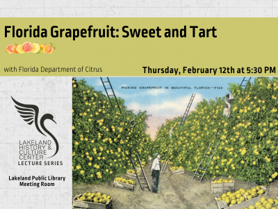1960s postcard of workers harvesting grapefruit in a grove with an overseer watching below text "Florida Grapefruit: Sweet and Tart with Florida Department of Citrus; Thursday, February 12th at 5:30 PM" and Lakeland History & Culture Center logo with text Lecture Series and Lakeland Public Library Meeting Room